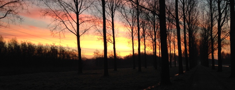 5 tekenen dat de lente eraan komt zonsopkomst - GuashaTherapeut.nl