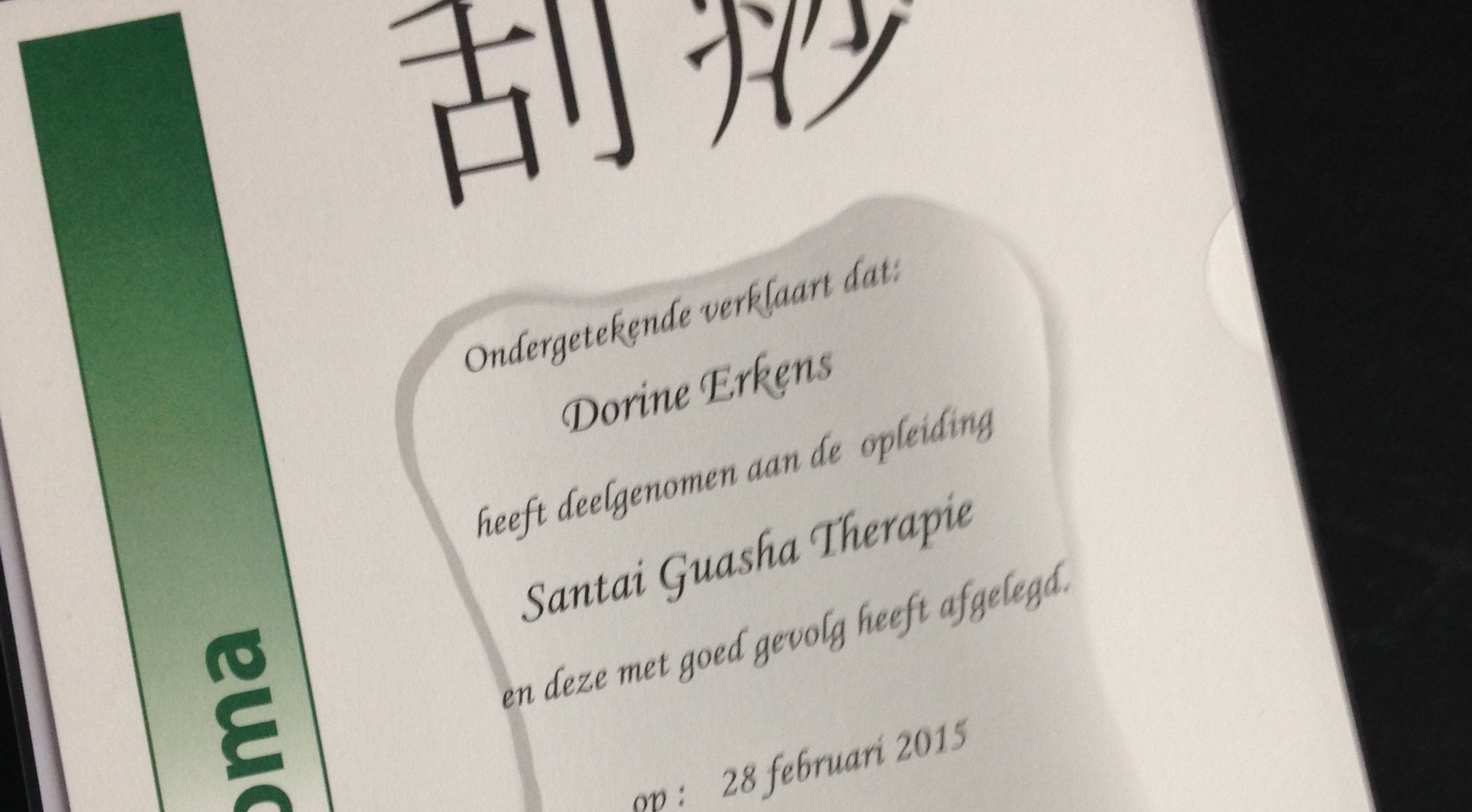 Diploma Guasha Therapeut