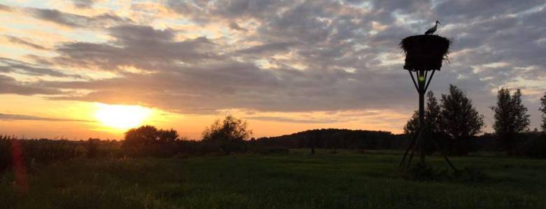 Ooievaarsnest Wandelroute Natuur Hitland - GuashaTherapeut.nl